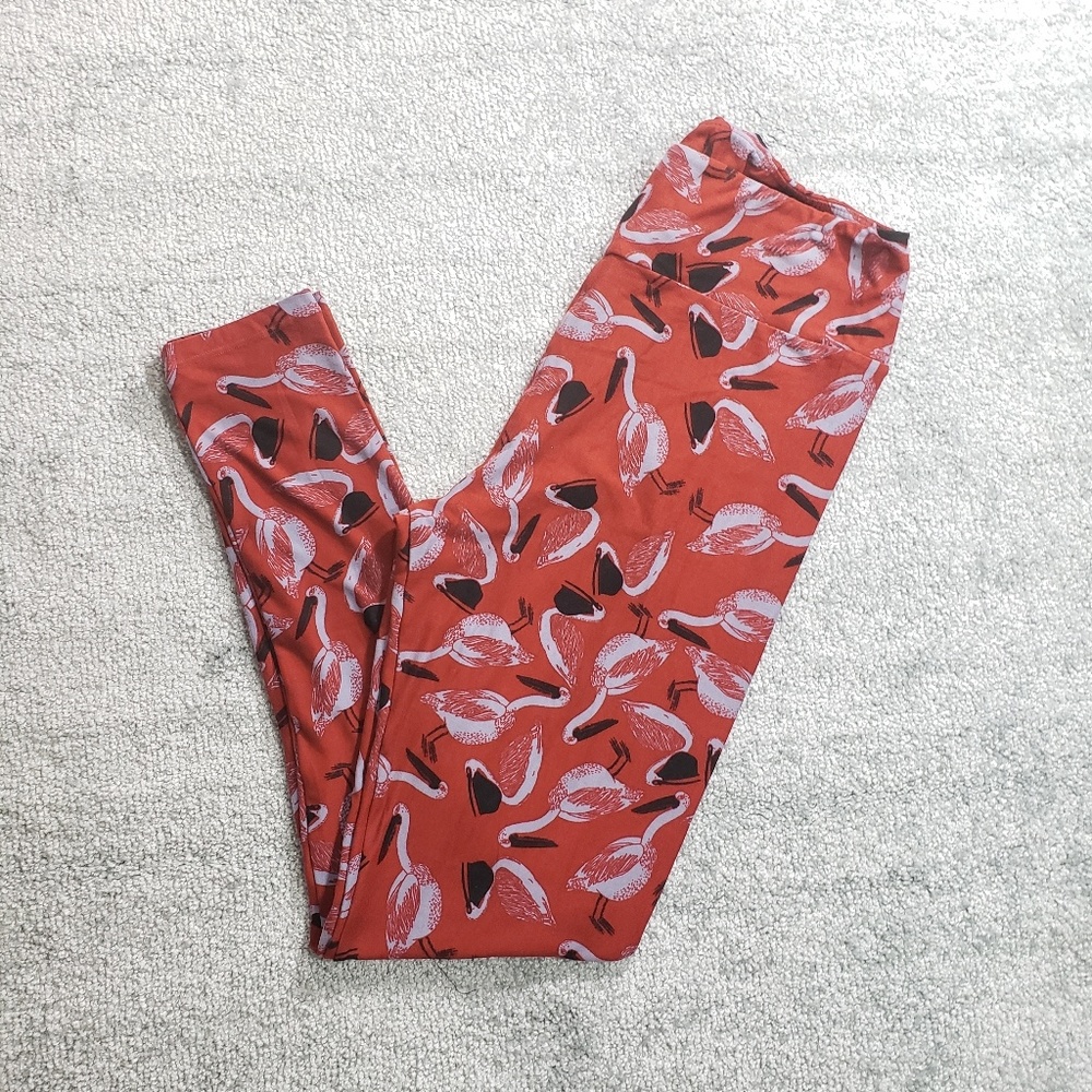 Tall & Curvy Lularoe Leggings